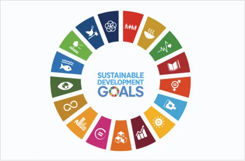 SDGs の 17 の目標のアイコン