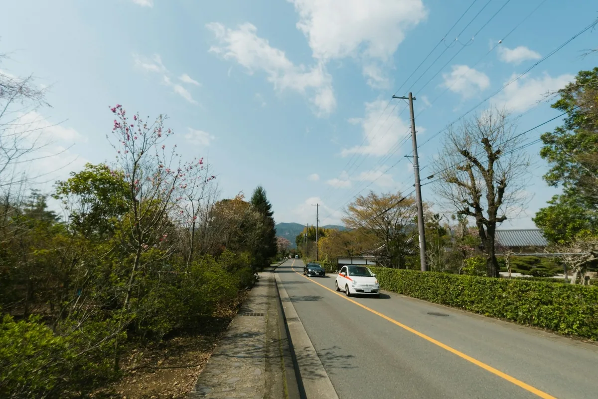 山あいの道を走る車（イメージ）